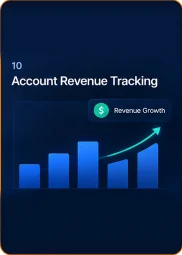 10. Account Revenue Tracking