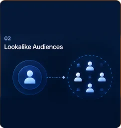 02. Lookalike Audiences